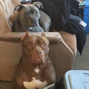 Meet your Posher, Jason